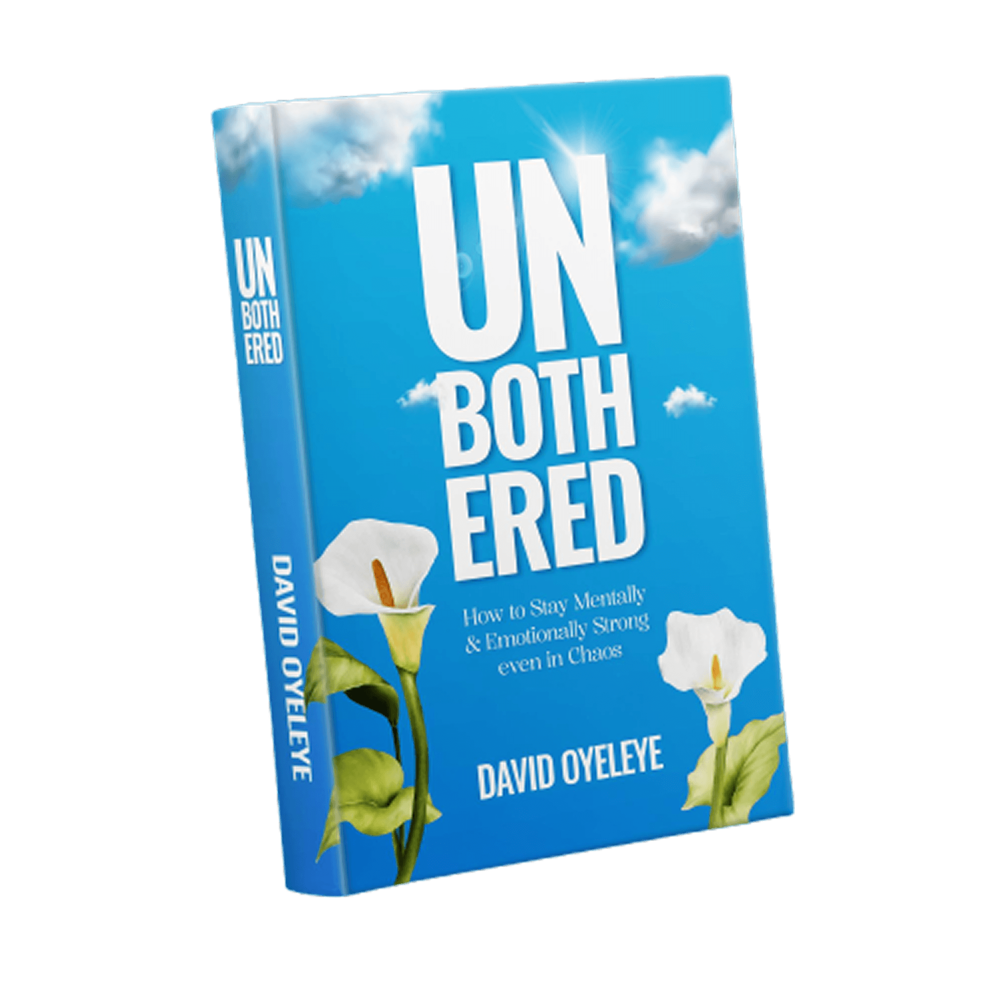 Mindflr Book